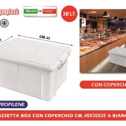 CASSETTA BOX CON COPERCHIO CM.45X35X25h BIANCA