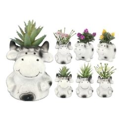 PIANTINA GRASSA IN VASO MINI MUCCHETTA CM.7X6X13,5h 8 ASS.