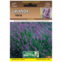 Semi di Lavanda Extra