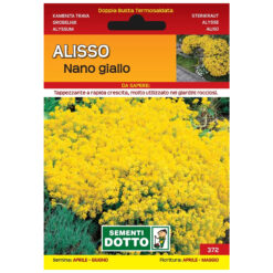 Semi Alisso Nano Giallo Extra