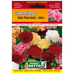 Semi Garofano Dei Fioristi Extra