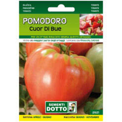 Semi Pomodoro Cuor di Bue Extra