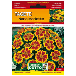 Semi Tagete Semplice Mariette Extra