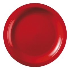 Piatti di Plastica Piani da Dessert Grandi 6pz Lavabili Riutilizzabili Ø 18