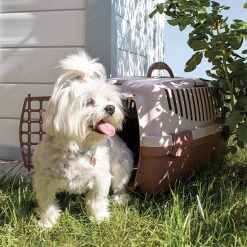 Trasportino per Cani Gatti di Piccola Taglia Conigli Gulliver 2 55×36,2×35 cm - immagine 3