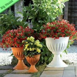 CALICE IN RESINA LINEA ALBA PER FIORI GIARDINO ESTERNO ALTO LUNGO E RESISTENTE - immagine 3