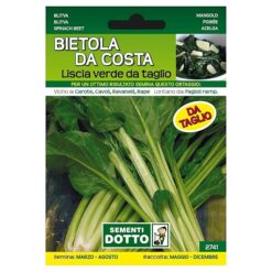 Sicignano | Semi Bietola da Costa Liscia Verde da Taglio - Pianta Precoce, Foglie Verdi con Costa Chiara, Busta Extra - 2 Confezione da 13g, Semina Marzo-Agosto, Raccolta Maggio-Dicembre