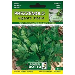 Sicignano | Semi Prezzemolo Gigante d’Italia - Pianta Aromatica con Foglie Ampie, Busta Extra - 1 Confezione da 13g, Raccolta Annuo