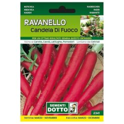 Sicignano | Semi Ravanello Candela di Fuoco - Pianta Crucifera Medio-Precoce, Radice Rossa 15cm, Busta Extra - 6 Confezione da 10g, Semina Marzo-Novembre, Raccolta Marzo-Dicembre
