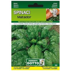 Sicignano | Semi Spinacio Matador - Pianta Precoce con Foglie Grandi e Bollose, Busta Extra - 1 Confezione da 20g, Raccolta Primaverile-Estate