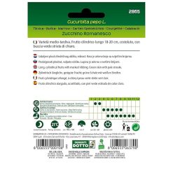 Sicignano | Semi Zucchino Romanesco - Pianta a Cespo Ramificato, Frutti Lunghi e Costati, Busta Extra - 1 Confezione da 4.2g, Raccolta Estate-Autunno - immagine 3