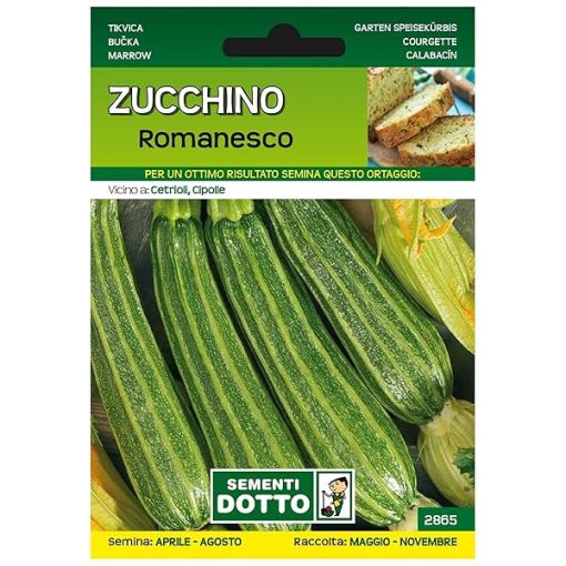 Sicignano-Semi-Zucchino-Romanesco-Pianta-a-Cespo-Ramificato-Frutti-Lunghi-e-Costati-Busta-Extra-1-Confezione-da-B0F6JWNXLL