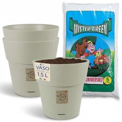 Sicignano | Vaso da Giardino in Plastica Riciclata, Modello Ethica Set Completo con Terriccio, Perfetto per Interni ed Esterni, Made in Italy (Gesso, Ø 15 cm, 3 Vasi)