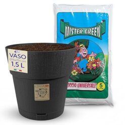 Sicignano | Vaso da Giardino in Plastica Riciclata, Modello Ethica Set Completo con Terriccio, Perfetto per Interni ed Esterni, Made in Italy (Grafite, Ø 30 cm, 2 Vasi)
